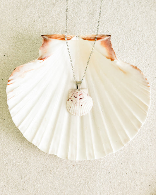 Dainty Silver Shell Necklace
