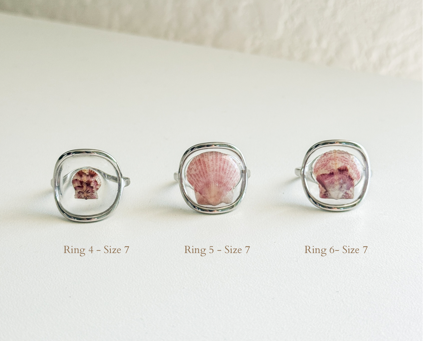 Silver Isla Shell Rings
