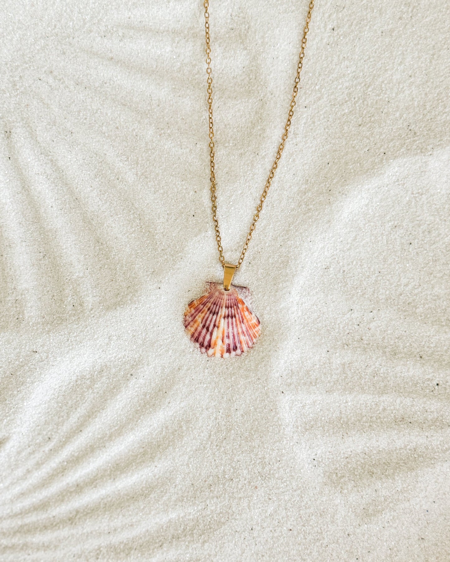 Dainty Gold Shell Necklace