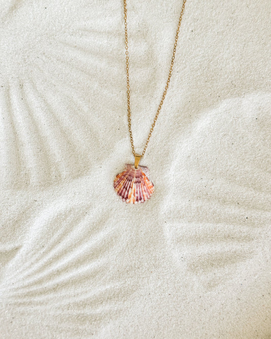 Dainty Gold Shell Necklace
