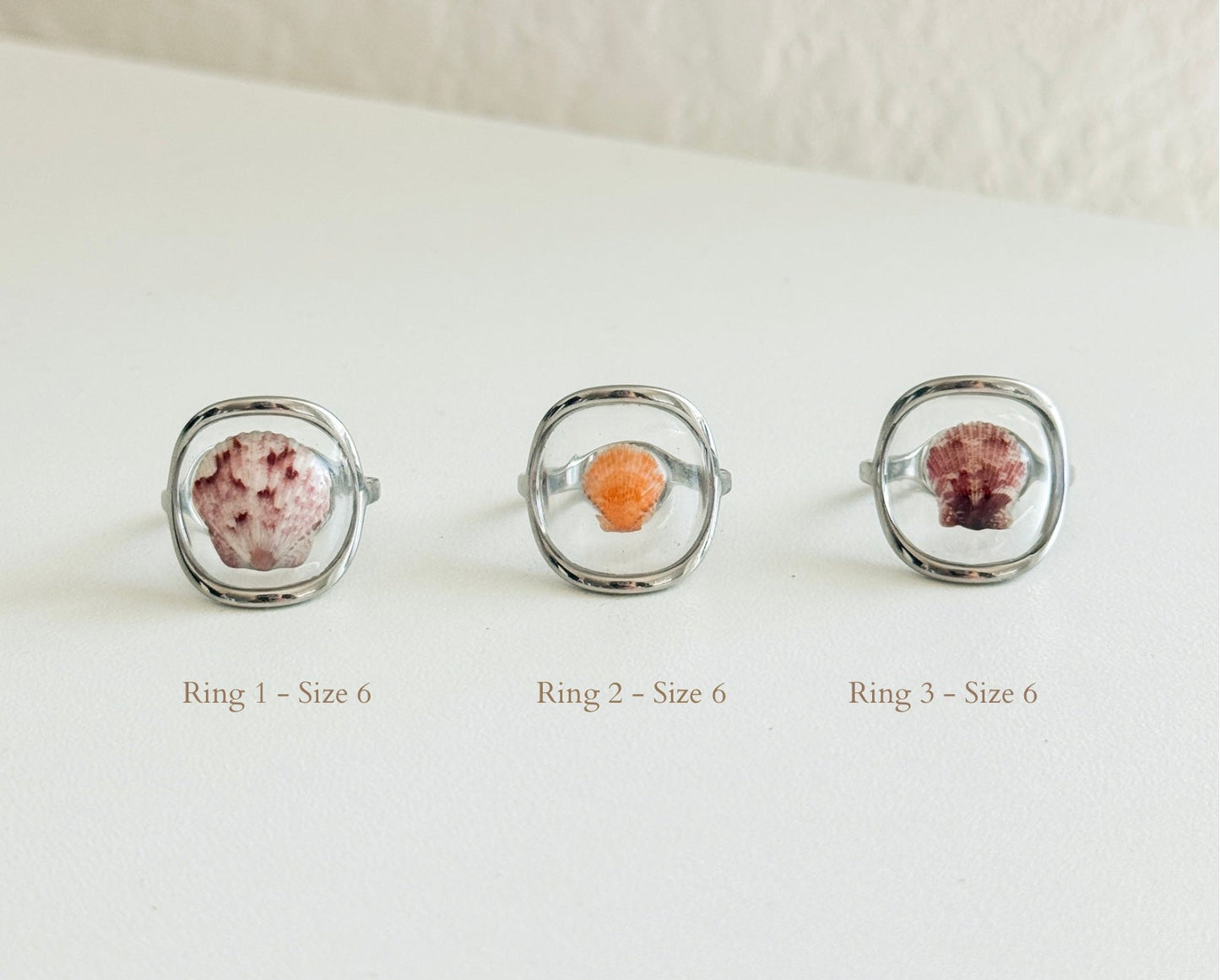 Silver Isla Shell Rings
