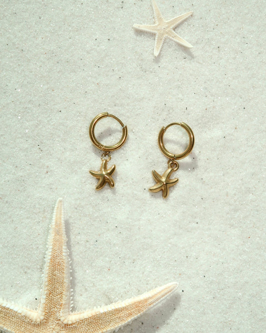 Starfish Earrings