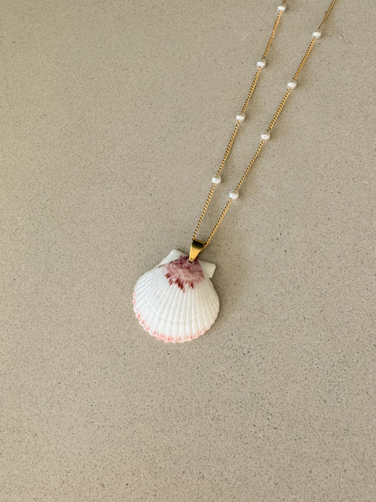 Dainty Pearl Shell Necklace