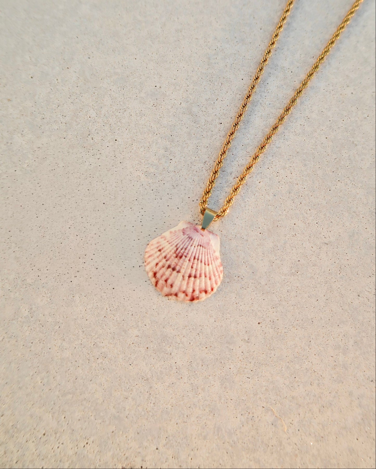 High Tide Shell Necklace