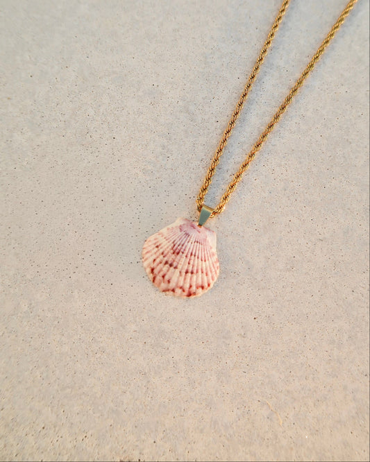High Tide Shell Necklace