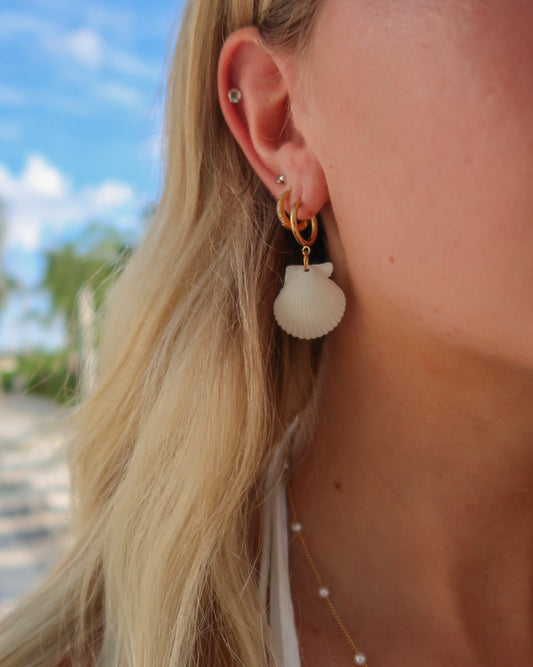 Shell Earrings