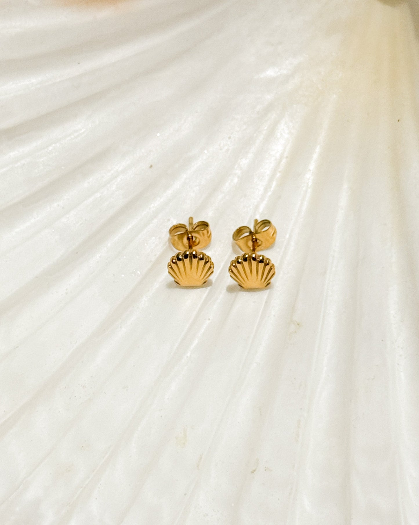 Gold Shell Studs