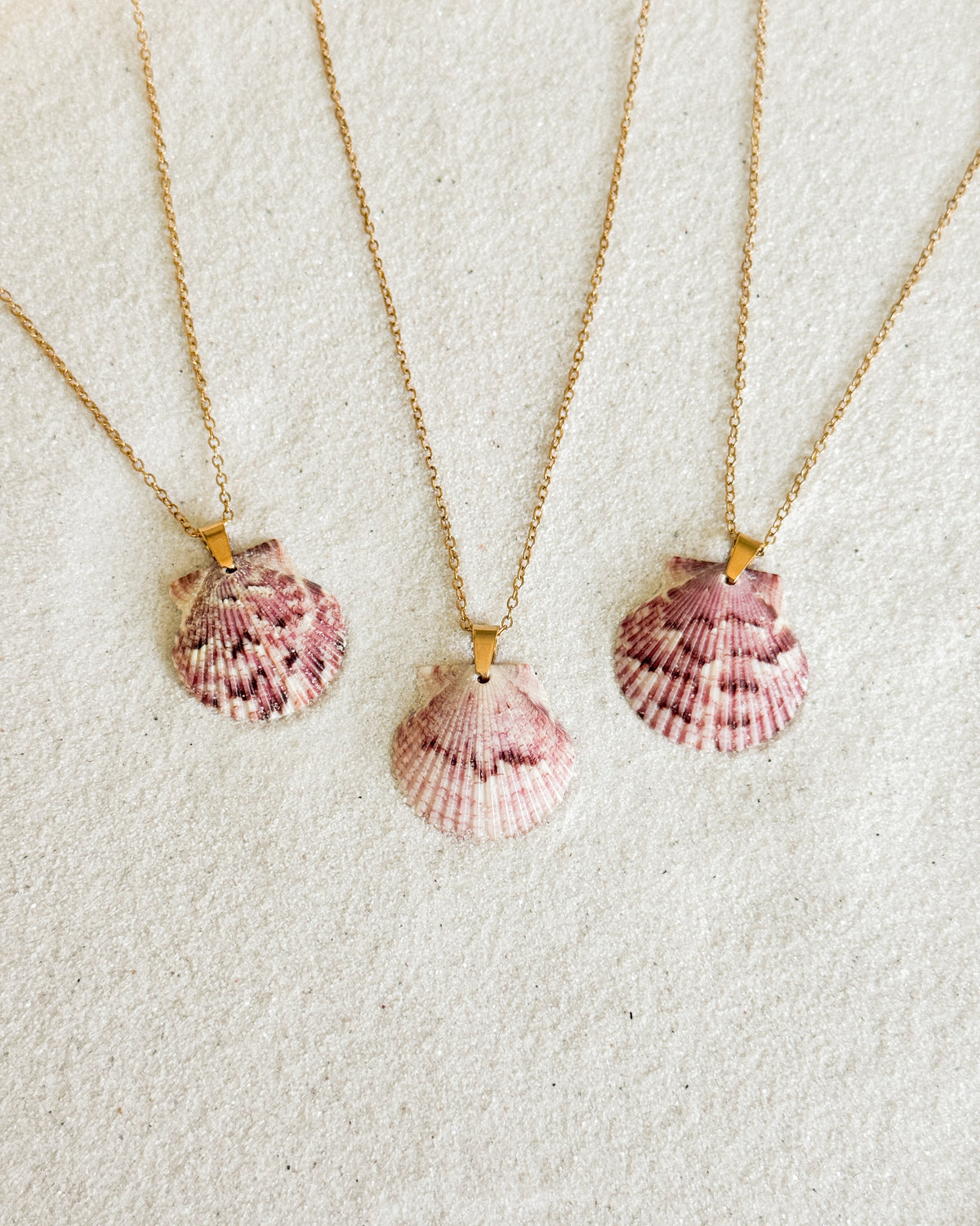 Dainty Gold Shell Necklace