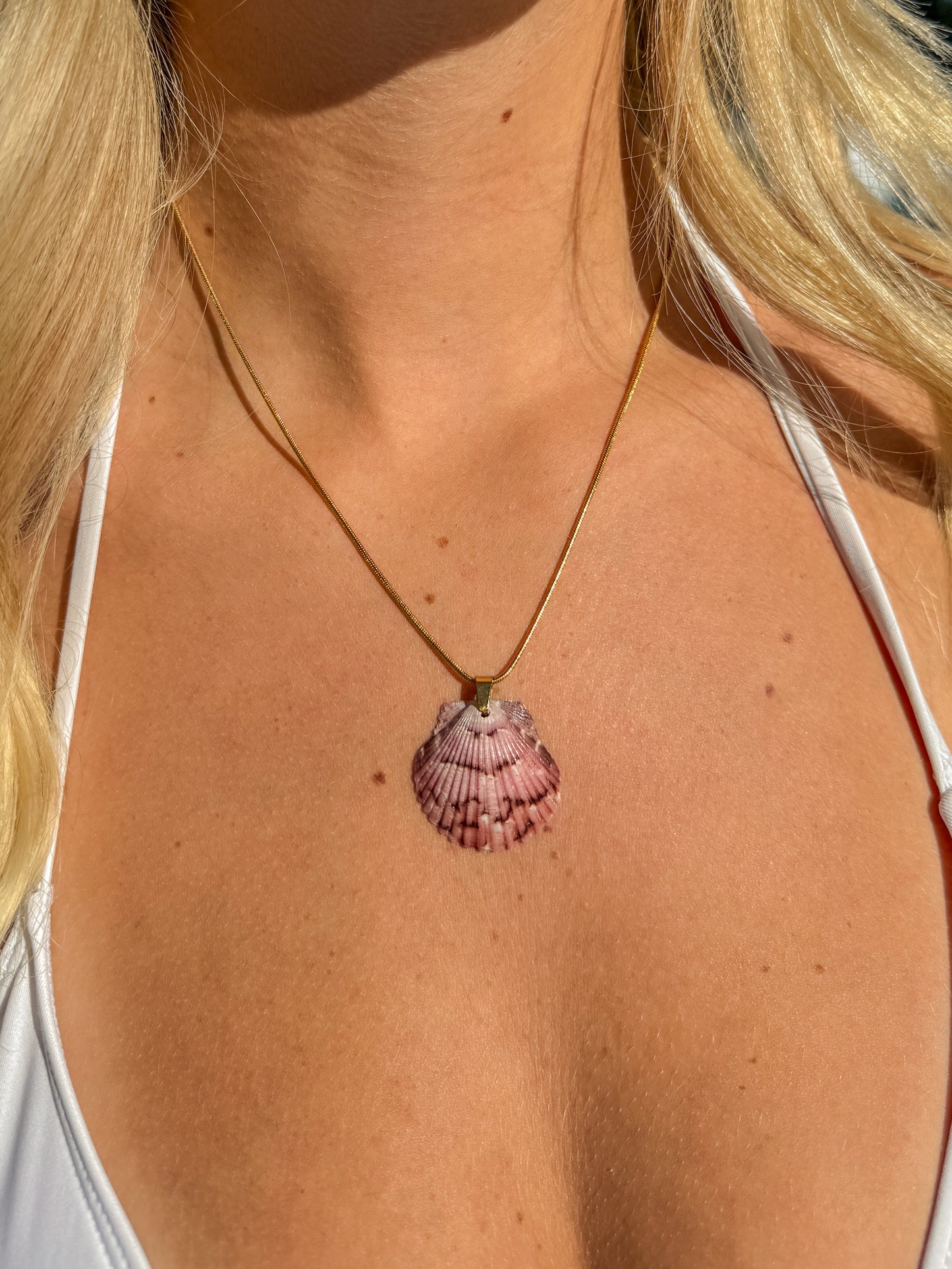 Beachline Shell Necklace